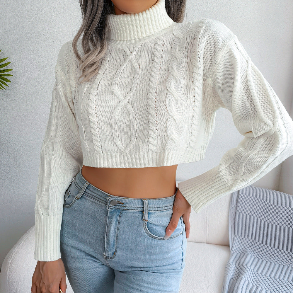 Cozy Knit Turtleneck Cropped Sweater
